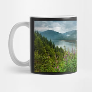 Lake Vidra in Romania Mug